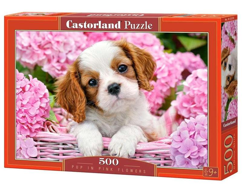 Xếp hình puzzle. 500 mảnh ĐA DẠNG CHỦ ĐỀ CASTORLAND