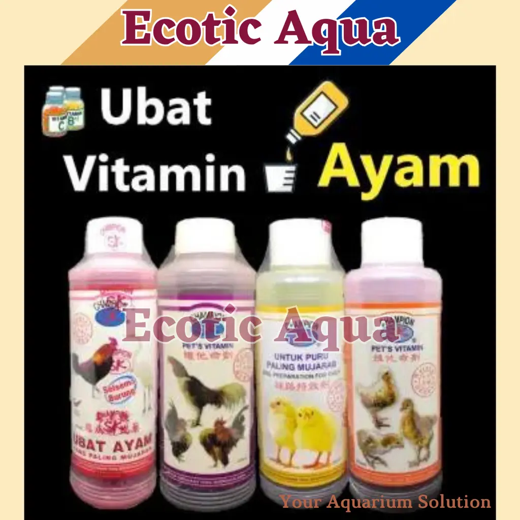 Sk Champion burung ayam vitamin and ubat herbal selesema mata anak Ayam