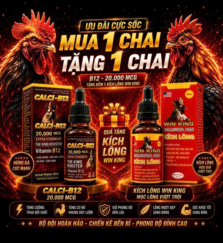Mua  B12-20.000mcg tặng kích mọc lông ( chai 50ml) dinh dưỡng nuôi gà, giúp gà tăng cơ nở khung xương (có bán lẻ 1 lọ B12-20.000 50ml anh em lưu ý khi chọn mua)