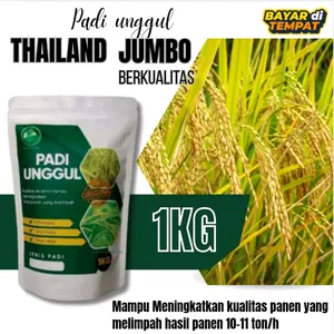 benih padi Thailand jumbo kemasan 1kg original