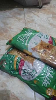 Product Review of Bundling 2 PCS Pussbite Makanan Kucing Kering Premium Frespack 800Gr from S**A M**A 0