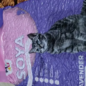 LEMIAO Pasir Kucing Tofu Gumpal Wangi 3.5L/1.2KG Soya Tofu Cat Litter