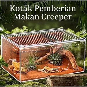 Kotak Penangkaran Reptil Akrilik Transparan - Habitat Terrarium Bernapas untuk Kadal, Gecko, Katak, Laba-laba