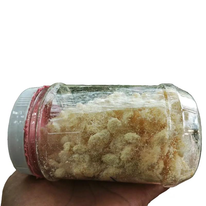 30 gram trứng sâu canxi thức ăn cho gà chim