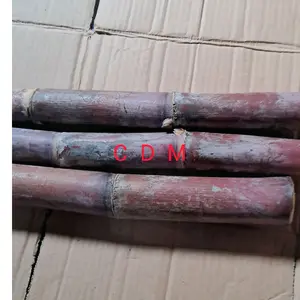 jual tebu merah segar manis 1kg