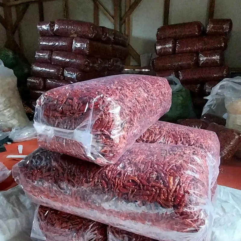 [2kg] Cabe Rawit Merah Kering MEDIUM Teja Japlak impor Super Pedas Food Goreng 6