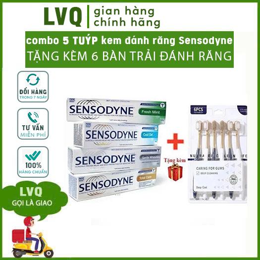   MUA 5 TẶNG 6   COMBO 5typ KEM ĐÁNH RĂNG S E N SO DYNE nhập khẩu Thái Lan Tặng 6 bàn chải  Kem đánh răng chống ê buốt  hỗ trợ trắng sáng răng 100g 1typ 