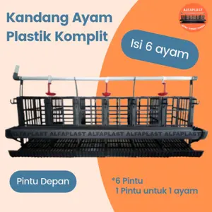 Ready!! KANDANG AYAM KOMPLIT ISI 6 AYAM