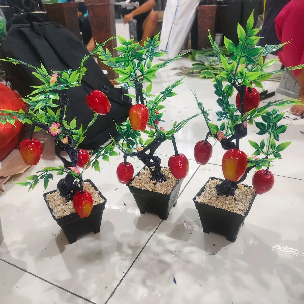 P. Apel merah vs hitam