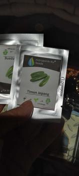 Product Review of Bibit / Benih Timun Jepang Import (25 Butir) Hidroponik Ku from A**i 1