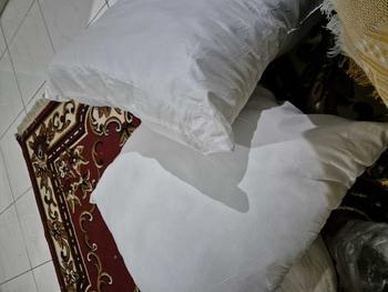 Product Review of Bantal sofa 60x60, silikon fiber from L**z 0