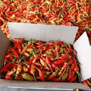 Cabai Rawit Merah Segar Spices Cabai Pedas