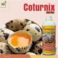 Gambar OBAT UNTUK MENINGKATKAN PRODUKSI TELUR PUYUH - COTURNIX BIO VIT 1LITER dari kampungputraagro Kota Salatiga 3 Tokopedia