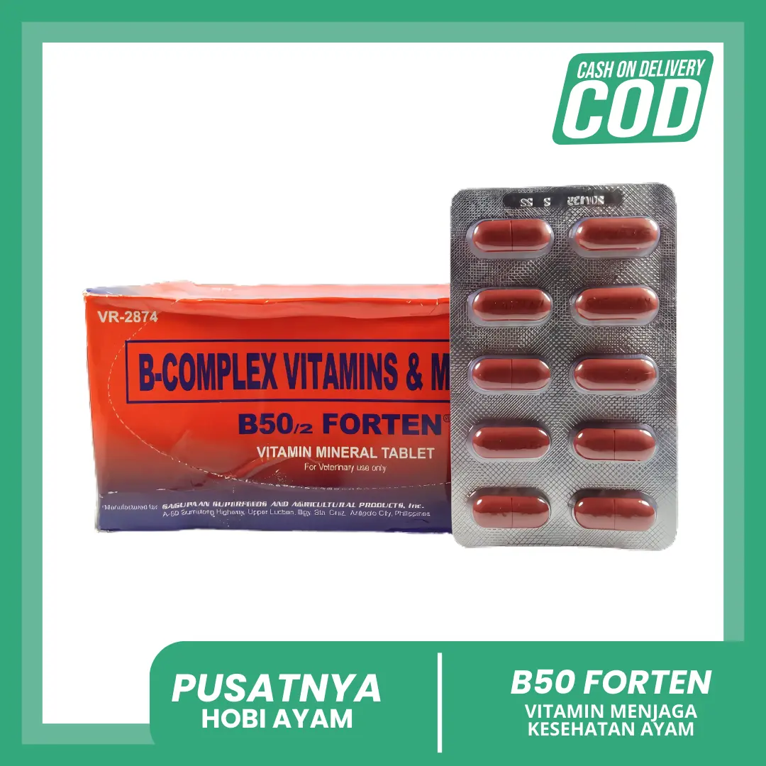 B50 FORTEN ORIGINAL B50 VITAMIN AYAM B50 1 STRIPOBAT MEMERAHKAN AYAM OBAT AYAM PUCAT KUNING