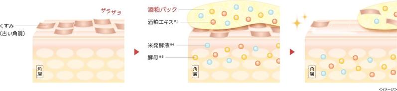 Product Introduction of pdc Wafood Made Sake Kasu wash-off mask pack 4 flavors whitening brightening Moisturizing 16