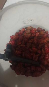 Product Review of [ 250gr ] Keripik Kulit Mlinjo Pedas Manis Super / Camilan Snack Kiloan Murah from d**a 0