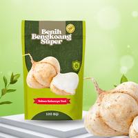 Gambar Sukses Keluarga Tani - Benih Bengkoang Super 100 Biji dari Sukses Keluarga Tani Kab. Langkat 3 Tokopedia