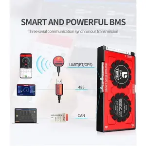 SMART BMS LIFEPO4 4S 12.8V 12V DALY WATERPROOF 40A 60A 80A 100A
