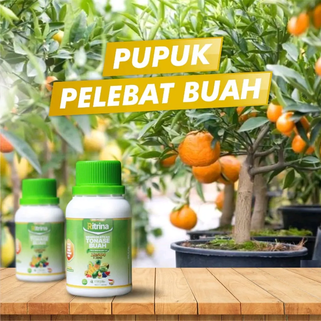 Pupuk RITRINA PELEBAT Buah Tanaman