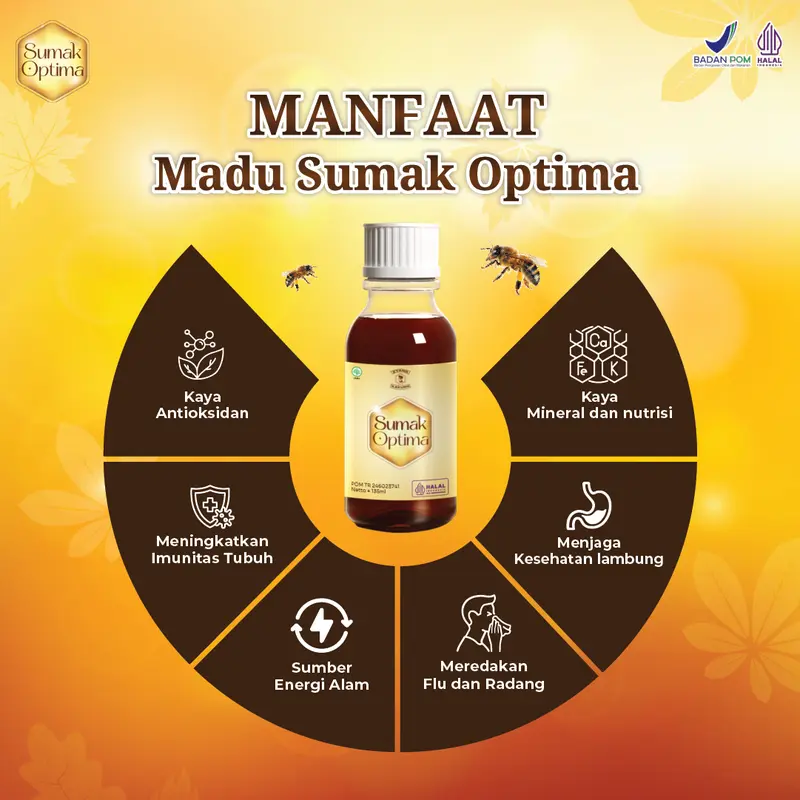 SUMAK OPTIMA | PAKET 2 BOX  | SUDAH HALAL MUI DAN BPOM BISA COD 2