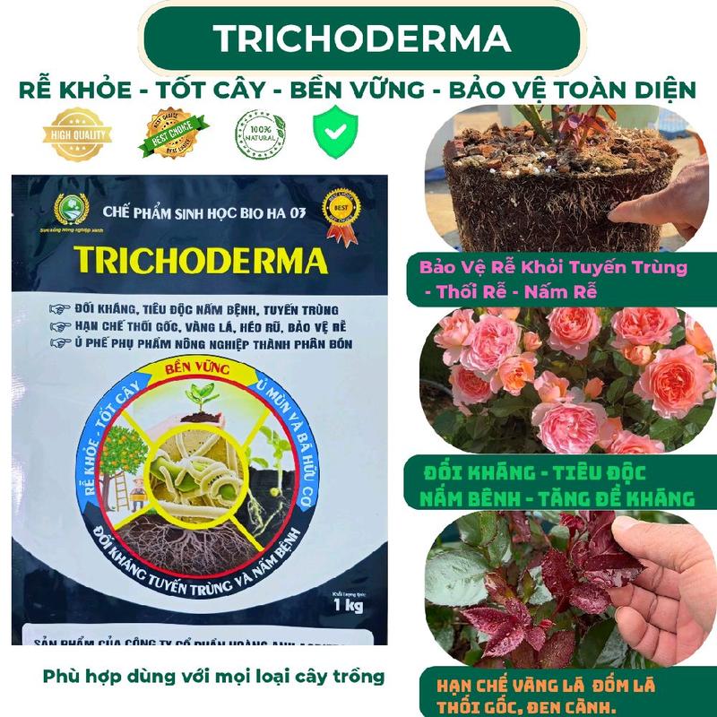 Trichoderma Rễ Khỏe - Tốt Cây - Bền Vững - Đối Kháng Tuyến Trùng & Nấm Bệnh - Cải Thiện Độ Tơi Xốp Đất - Chế Phẩm Sinh Học Bio HA 03.