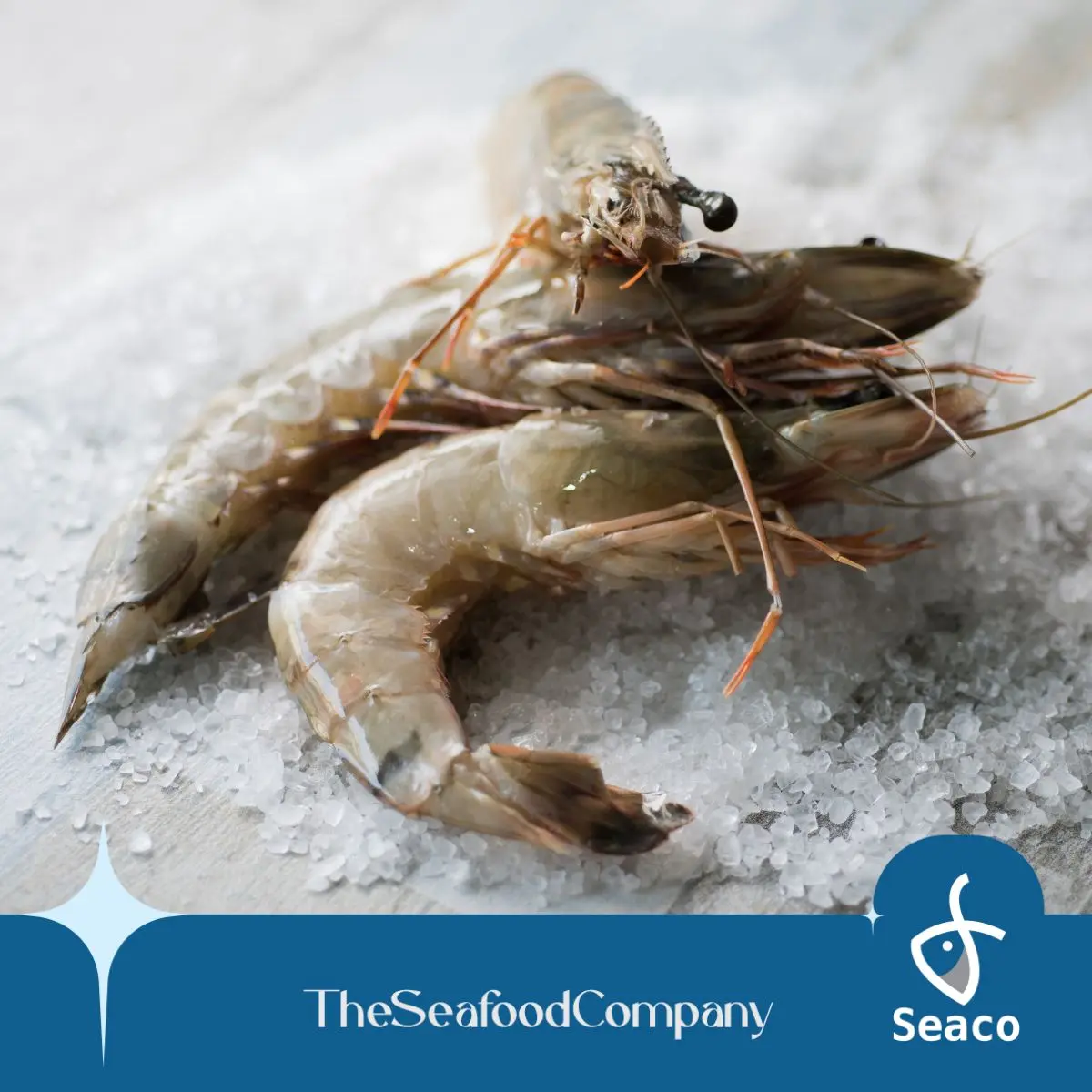 [Seaco] Red Sea Vannamei Prawn HOSO 26-30 - 800gm