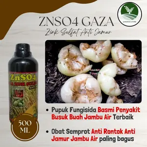 TERMURAH ZNSO GAZA 500ML PUPUK FUNGISIDA ATASI PENYAKIT BUSUK BUAH JAMBU AIR PALING BAGUS - Obat Semprot anti busuk buah jambu air terbaik