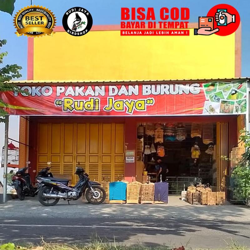 B PLEK BPLEK B-PLEK SOL BPLEX SOL DRH JATMIKO SUPLEMEN DOPING VITAMIN B KOMPLEK VITB KOMPLEKS UNTUK BURUNG DAN HEWAN PULIHKAN STAMINA SETELAH PERJALANAN STRESS 3