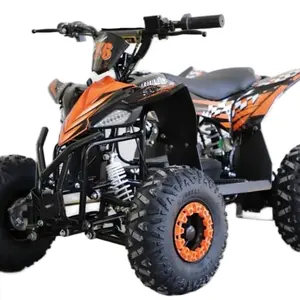 Mini Atv Rider 500wat Elektrik 48V Mini Motor Gardan Listrik