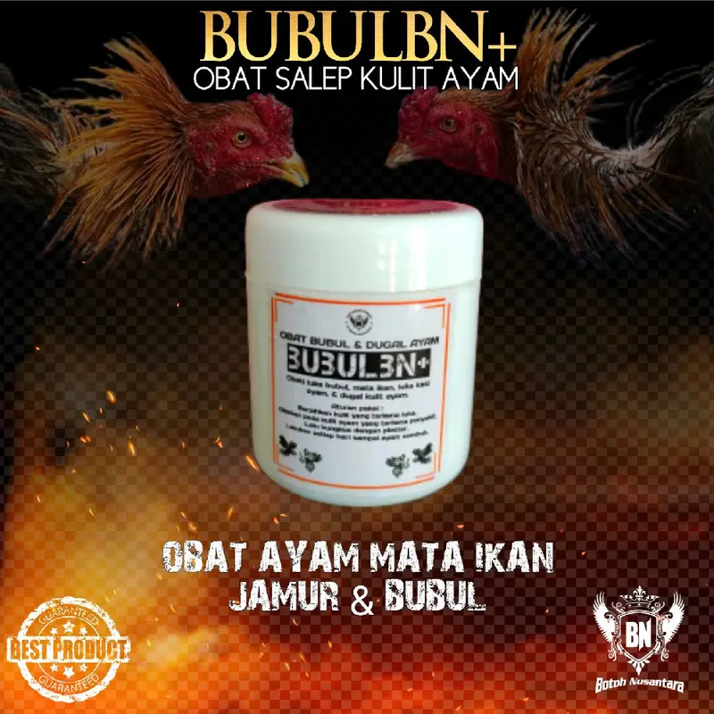 BUBUL BN salep bubul pada kaki ayam aduan 0