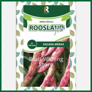 ( 100 Benih ) Kacang Merah | Kacang Lurik | Kacang Jogo Tipe Tidak Merambat