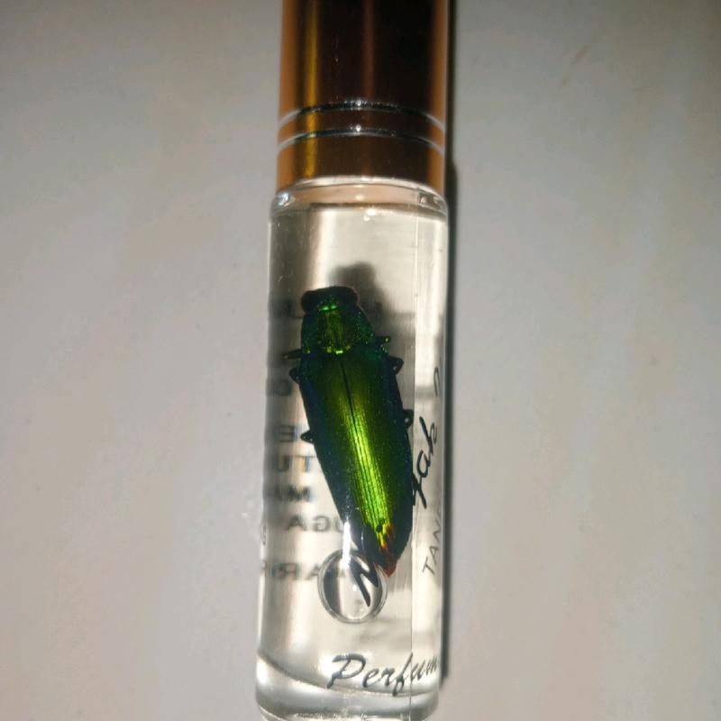 minyak samberlilin raja ratu wangi asli harum 1