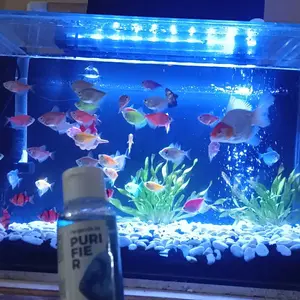 Penjernih Air Akuarium Aquarium Aquascape Kolam PURIFIER - 100 ml obat  penjernih Penjernih Air