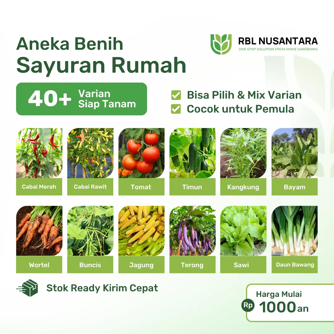 RBLN - Aneka Benih Bibit Sayuran untuk Berkebun Tanaman di Rumah