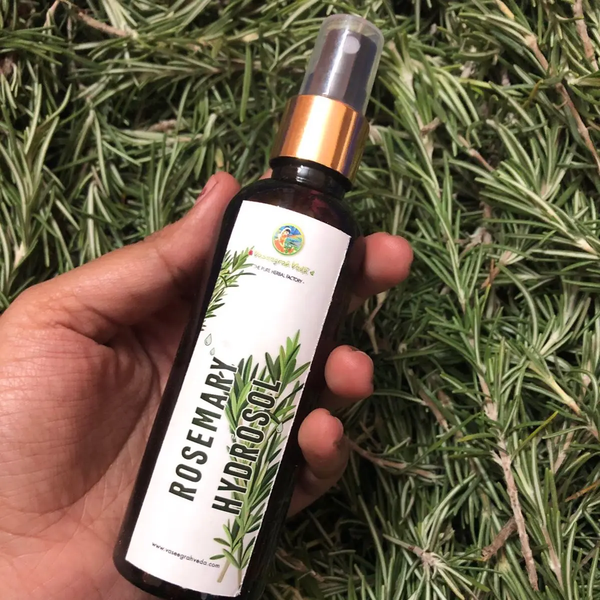 Rosemary Hydrosol  (Hair care)