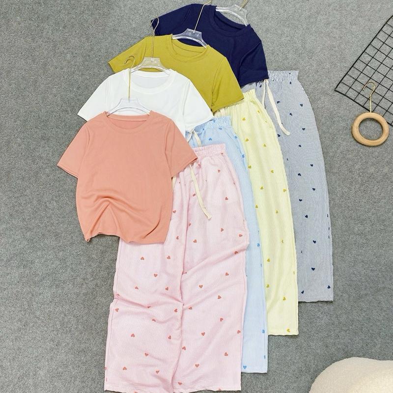  BIGSIZE  50-92kg  sét bộ bigsize dễ thương cho nữ hoạ tiết xinh xắn phối áo thun gân co giãn  g244 q566  đồ bộ 