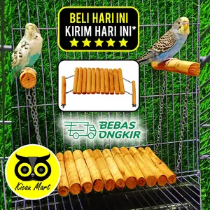 KICAU MART Tangkringan Mainan Jembatan Ayunan Burung Lovebird Parkit Kenari Parrot Falk Sunconure Sugar Glider SGD Hamster Marmut Landak mini Kayu Ateraktif Tipe B Tenggeran Sangkar Kandang Hewan