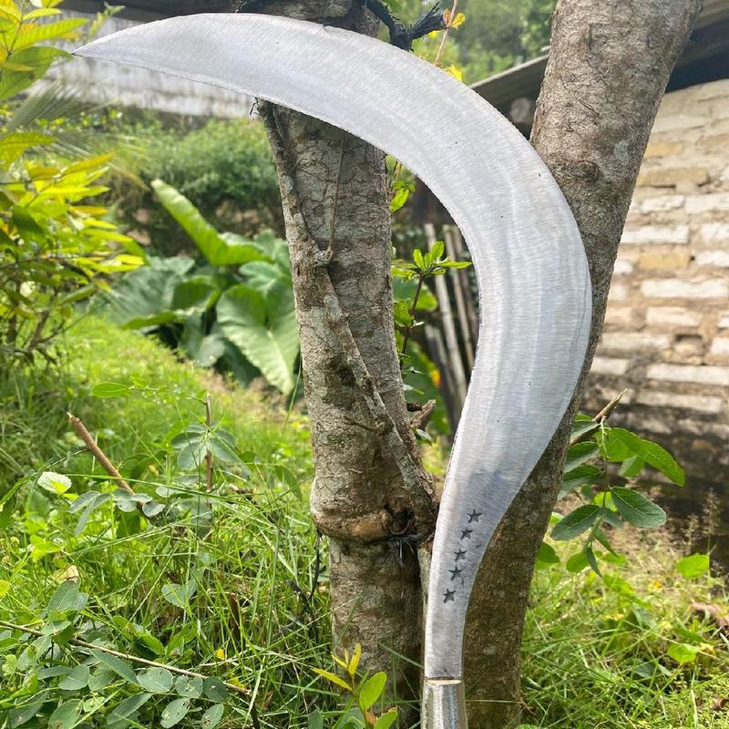 Alat Sambit Rumput alat pertanian sabit rumput bintang 5 baja per - Shop | Tokopedia