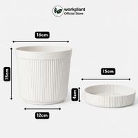 Gambar Workplant - Pot Krisan 16 (Isi 6pcs) Pot Tanaman Minimalis Estetik Bahan Awet Satu Set Tatakan Minim Kotor Untuk Semua Jenis Tanaman Tanaman Indoor Outdoor dari workplant official Kota Surabaya 2 Tokopedia