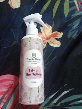 Product Review of Parfum Laundry Premium Penatu Home - Lily Of The Valey 250ML from Z**a 0