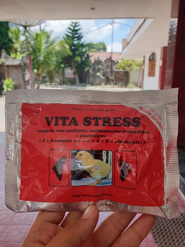 [VITAMIN ANTI STRESS AYAM] VITASTRESS 100 GRAM MEDION 4