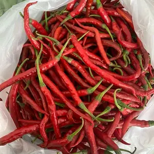 ( KHUSUS JAWA ) CMK CABE MERAH KRITING