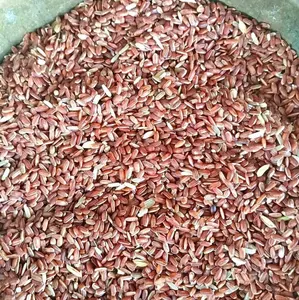 Beras merah no vacuum Sosoh/pk