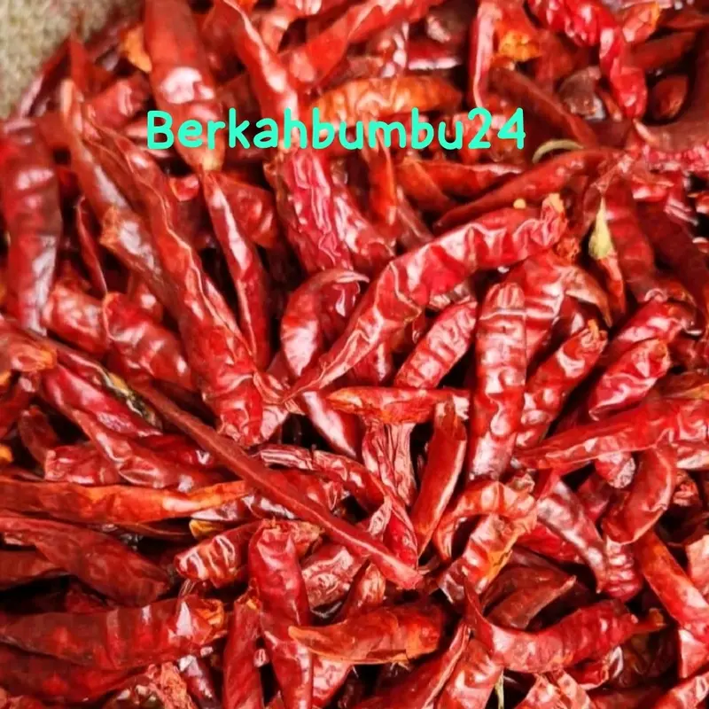 MURAH 1KG CABE RAWIT TEJA SETAN KERING KUAKITAS SUPER PEDAS 0