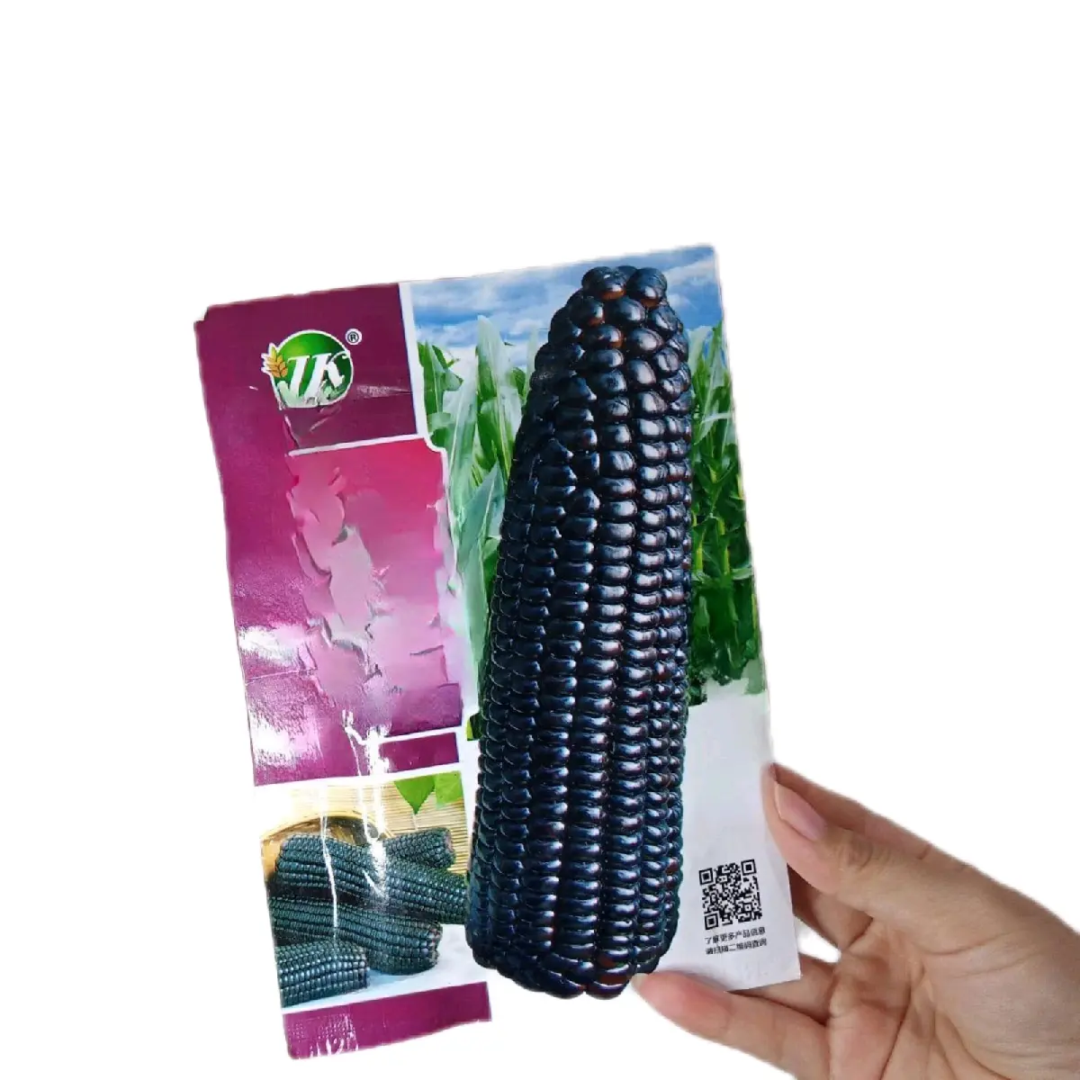 Benih Jagung Pulut Ketan Hitam