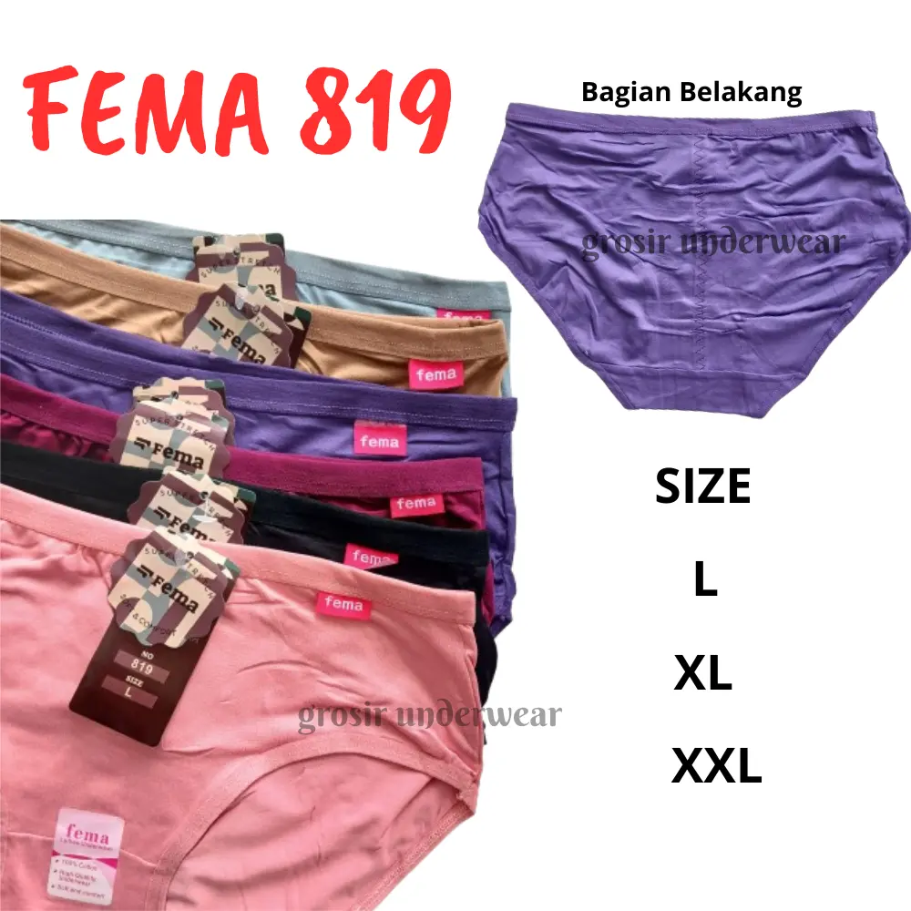 12 PCS CD FEMA 819 Celana Dalam Wanita Lembut Dewasa