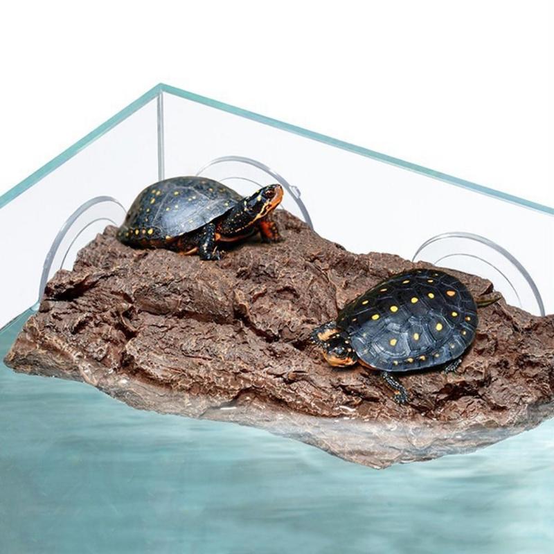 Creative Simulation Rock Turtle Drying Platform Tree Bark Resin ...