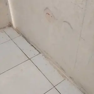 Sendok Makan 1 Lusin 12 Pcs Stainless Steel Motif Warteg Murah Lusinan Grosir Polos Nasi Besi Permukaan Halus Rata Cengklung Pas Mudah Dibersihkan