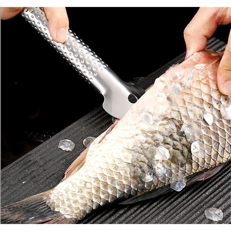 Dụng Cụ Tẩy Vảy Cá Làm Sạch Nhanh, Được Làm Bằng Thép Không Gỉ 304, An Toàn Cho Máy Rửa Bát 8