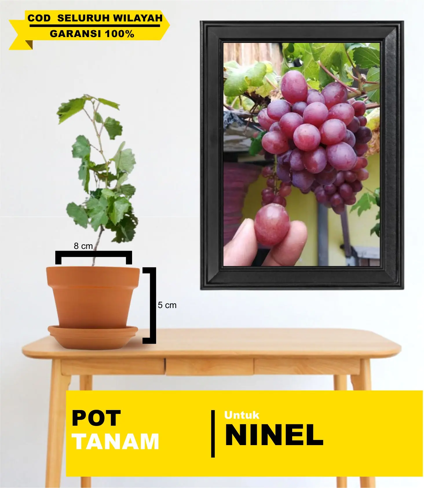 POT PLASTIK UNTUK TANAM NINEL